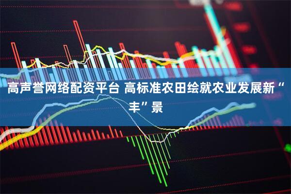 高声誉网络配资平台 高标准农田绘就农业发展新“丰”景