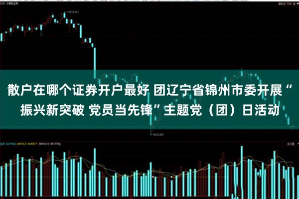散户在哪个证券开户最好 团辽宁省锦州市委开展“振兴新突破 党员当先锋”主题党（团）日活动
